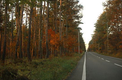 針巻道路　八ヶ岳